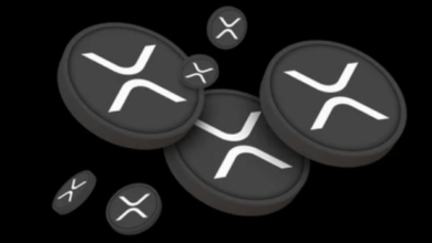 A Deep Dive into XRP Price CAD: What’s Driving Its Volatility