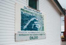 authority mapping dynamic edge