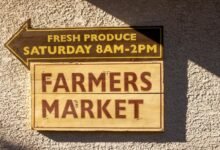 market engine marketing guide highlights