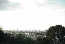 market value growth strategy