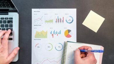 network report summary overview