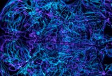 neural pulse beam technology