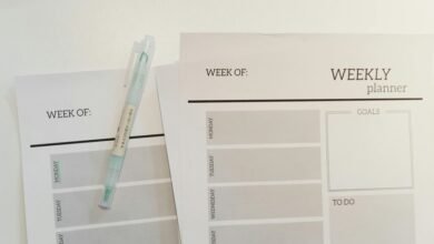 online maximization performance plan