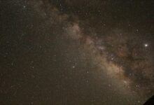 stellar core growth orbit