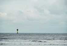 expansion of conversions for 7027355151 beacon horizon