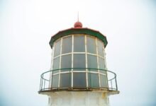 optimize conversions lens beacon 7155021004