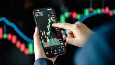 Budget Season, Policy Shifts and the Indian Stock Market's Reaction