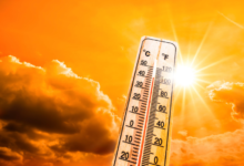 The Silent Summer Killer: How Heat Destroys Car Batteries