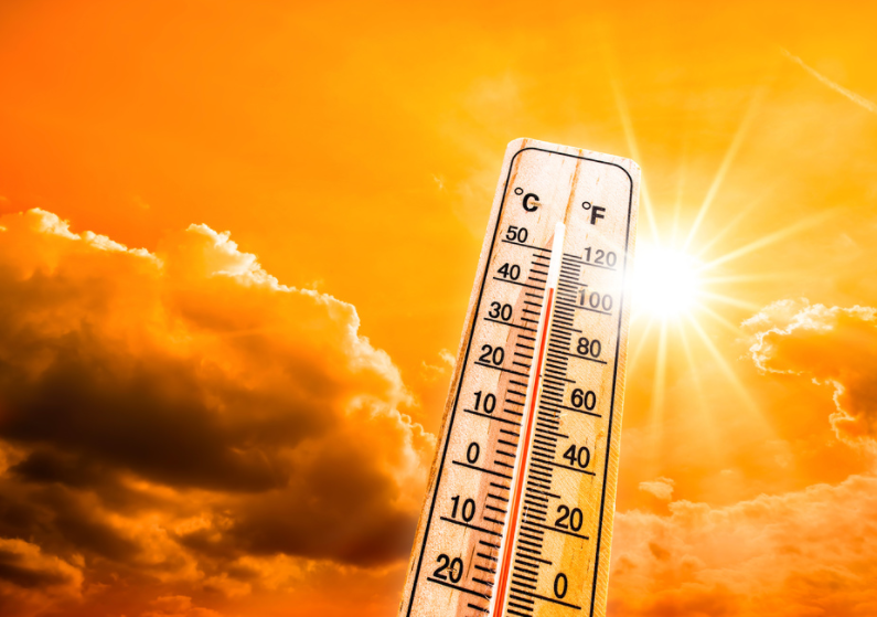 The Silent Summer Killer: How Heat Destroys Car Batteries
