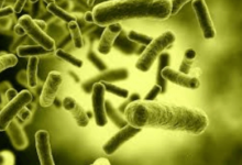 What Are Biotics? Why Postbiotics Are Changing the Future of Microbiome Products